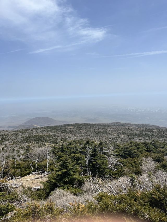 제주여행에 한라산이 빠지면 절대 안돼! 백록담 보고 가세요~.<