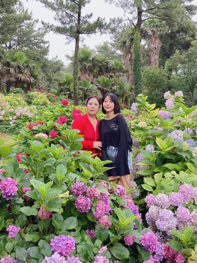 부모님과 함께하는 제주도 가족여행 코스 2탄🌴