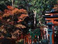 ⛩️MEMORIES OF KYOTO: THE CITY OF ZEN