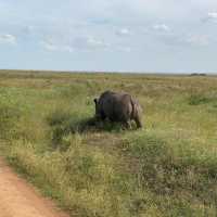 KENYA NATIONAL PARK, A SITE TO BEHOLD