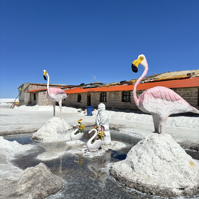 Salt Hotel in the Salt Plains