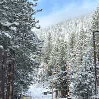 Lake Tahoe - fun 🤩 