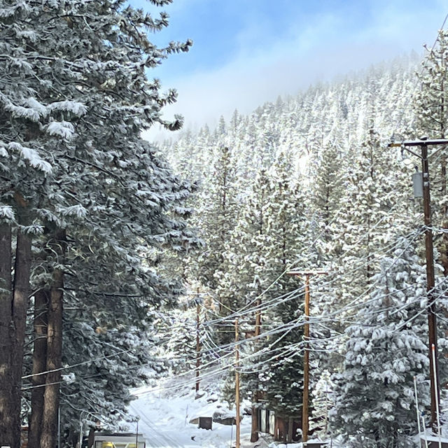 Lake Tahoe - fun 🤩 
