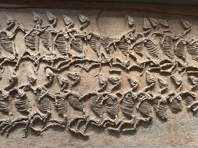 Over 5000 years of History