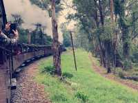 墨爾本Puffing Billy 蒸汽小火車魔幻時刻