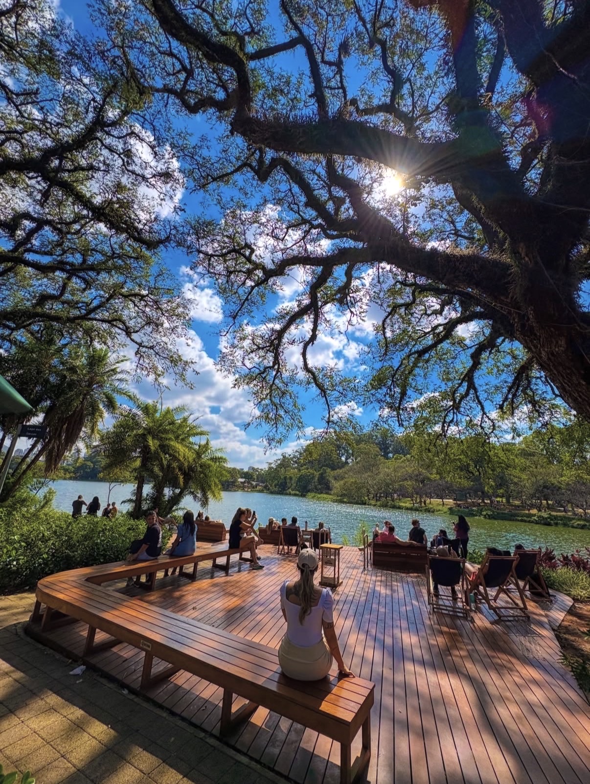 Ibirapuera Park: São Paulo’s Iconic Green Heart and Soul 🌿