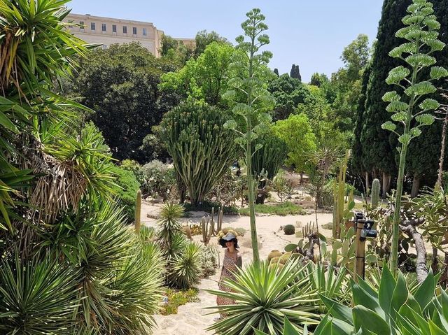 Autumn at Botanical Garden Cagliari 🗺️