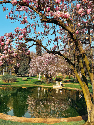 Дворец Илапур 🌺🌸