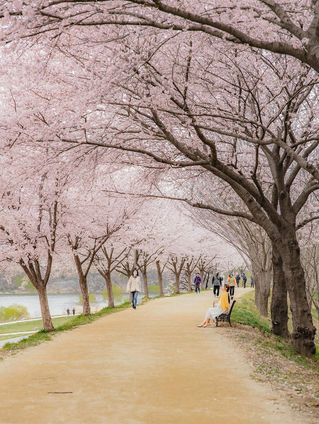 송파나루 공원 (석촌 호수 공원)