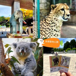 🐨多摩動物公園🦝超級大的動物園，與動物近距離互動