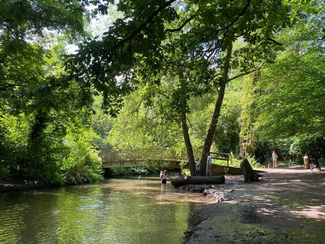 Serene Day at Lullingstone Country Park 🌳🌼