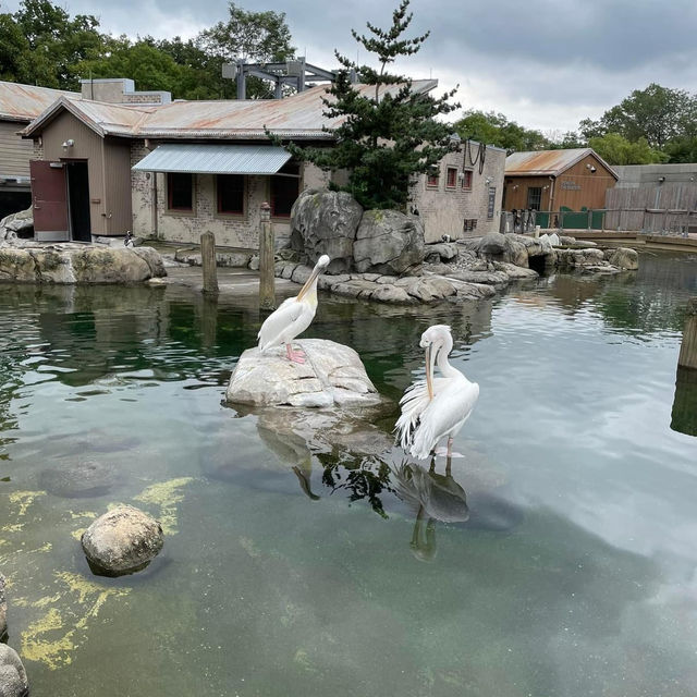 The Maryland Zoo in Baltimore 🇺🇸