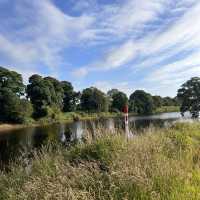 A piece of tranquility right next to the M6