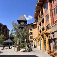 A mammoth town