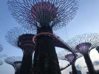 Gardens by the Bay: Singapore’s Futuristic Oasis of Nature and Wonder