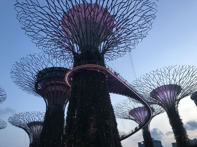 Gardens by the Bay: Singapore’s Futuristic Oasis of Nature and Wonder