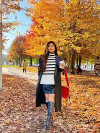 가을의 캐나다 🍁