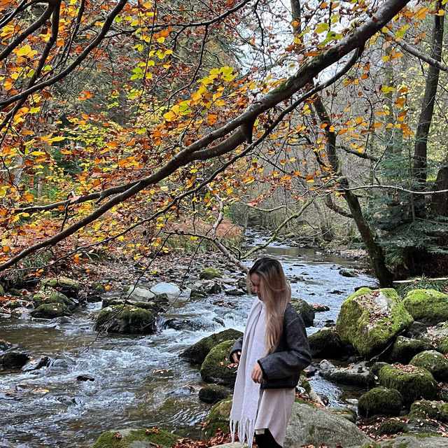 Nature’s Autumn Canvas: Motor Trip to Aira Force Waterfall