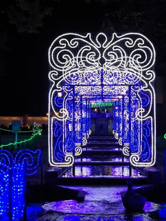 Holiday illumination at Grimm Forest 