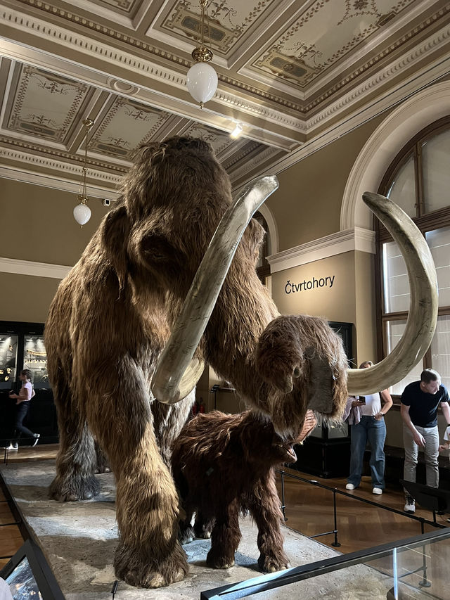 🇨🇿布拉格國家博物館 （Národní muzeum）