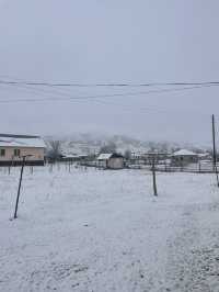  Village Life Near the Lake 