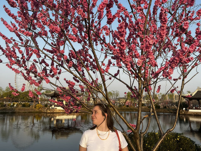 Wuxi en flor: el paraíso de los cerezos