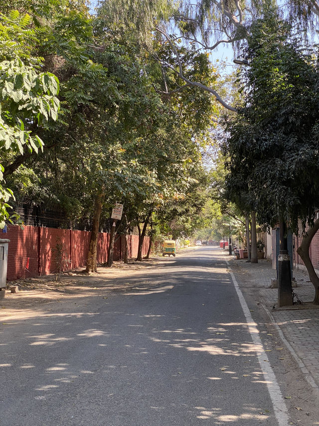 ✈️ New Delhi Layover? Perfect Day Trip Itinerary
