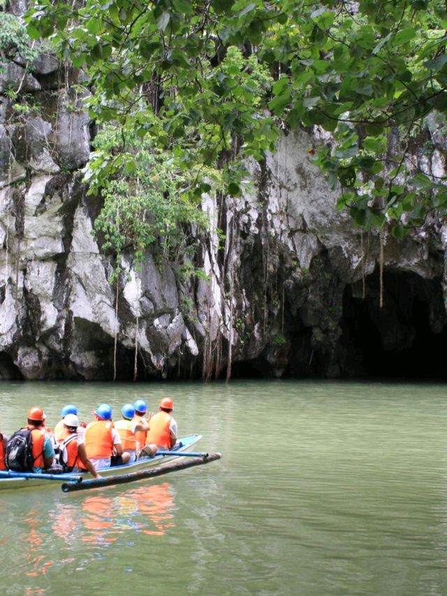 giant Palawan oyster shell