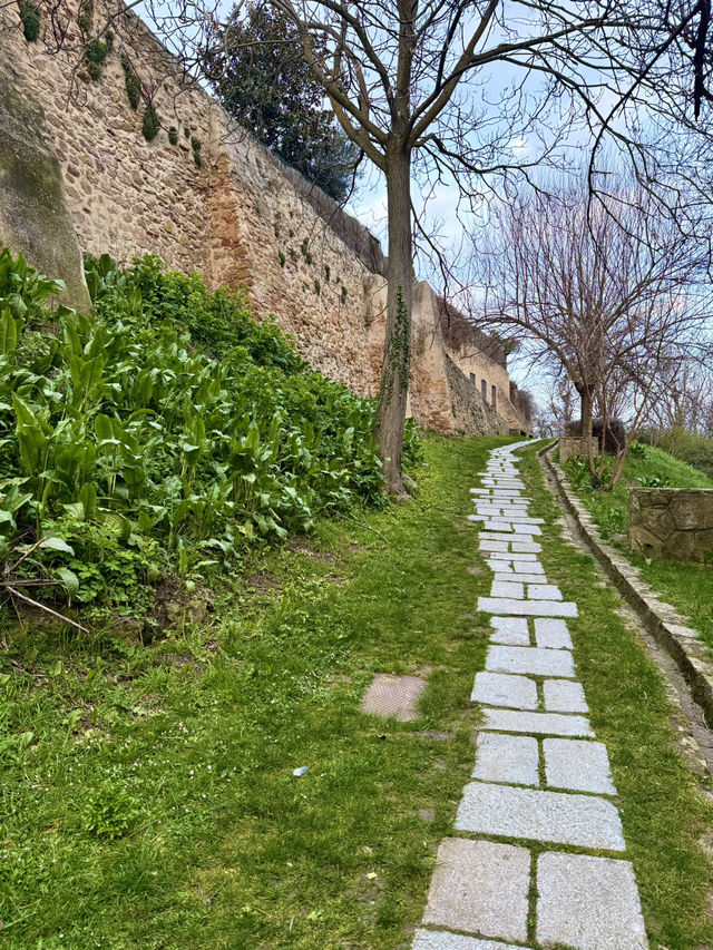 Art, Gardens, and the Segovia Countryside