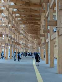 Read before you go to the Expo 2025