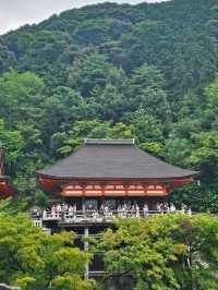Walking Through the Green Side of Kiyomizu-dera