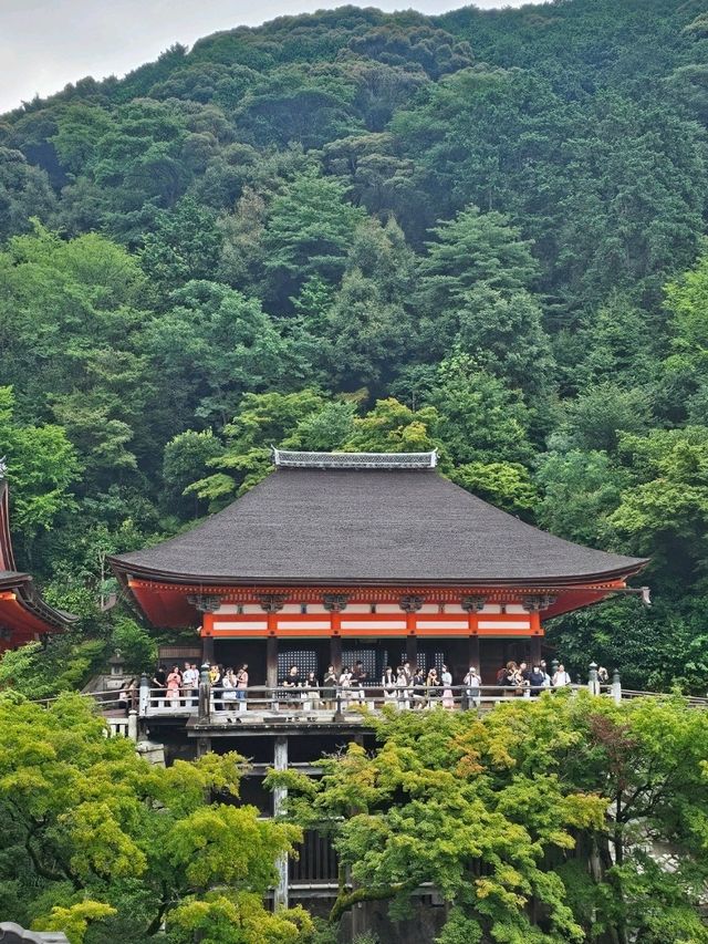 Walking Through the Green Side of Kiyomizu-dera