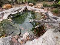 Salt hot spring in Krabi 