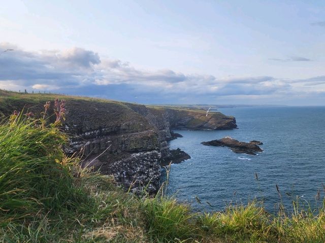 Stonehaven Day Trip