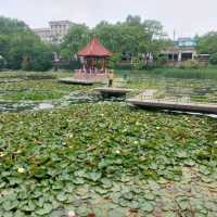 Qingdao 3 days walking itinerary