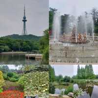 Beautiful parks, Zhongshan park, Botanical garden etc.