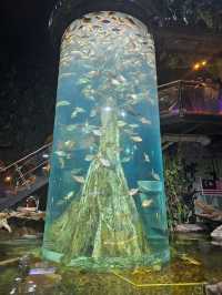An Underwater Adventure in the Heart of Kuala Lumpur