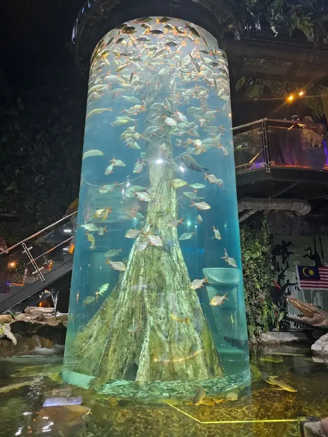 An Underwater Adventure in the Heart of Kuala Lumpur