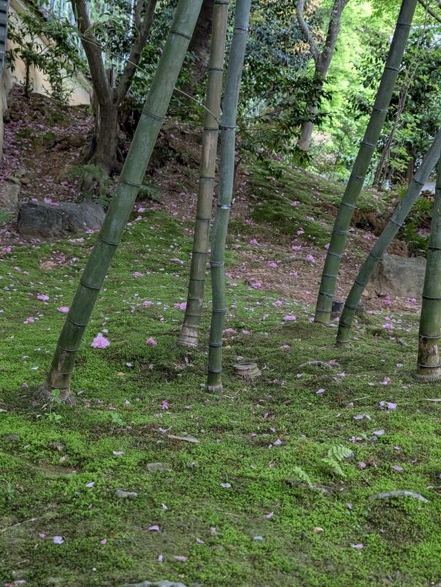 2 days in Kyoto no more than $100 per person.