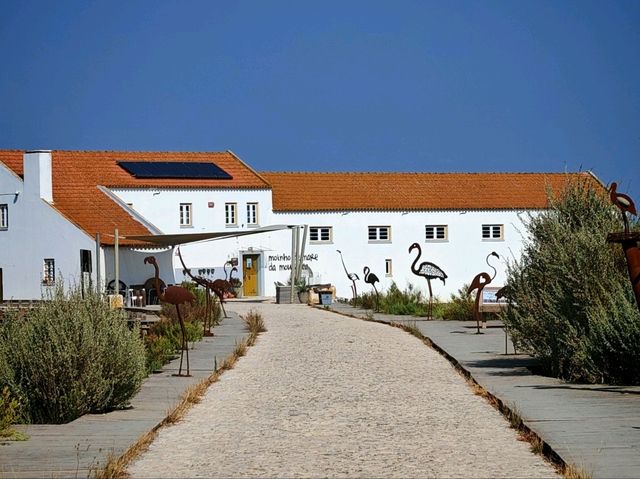 Setubal in a quick tour 