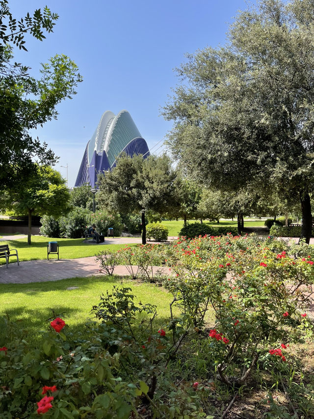 Ciudad de las Artes: Futuristic Beauty in Valencia ✨🏛️🌊