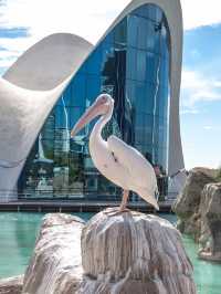 🌊🌴 Weekend Getaway in Valencia: Futuristic City of Arts & Sciences 🏙️✨