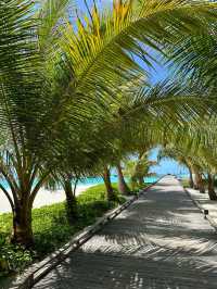 Cocoon Maldives — Where Modern Luxury Meets Barefoot Paradise
