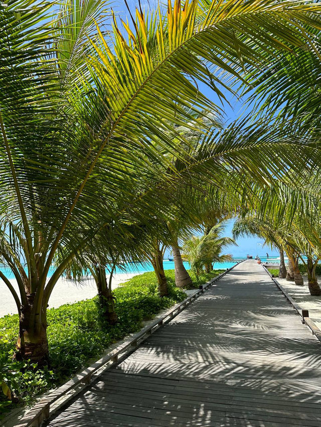 Cocoon Maldives — Where Modern Luxury Meets Barefoot Paradise