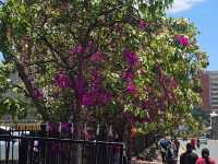 Wild Hearts & Golden Horizons: Fall Safari in Kenya