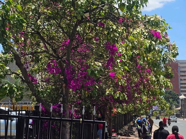 Wild Hearts & Golden Horizons: Fall Safari in Kenya Wild Hearts & Golden Horizons: Fall Safari in Kenya