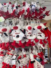 Old town beauty 🦔🍨🏘