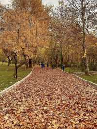 🌿 Park-e Mellat Tehran – A Calm Urban Escape 🍁✨