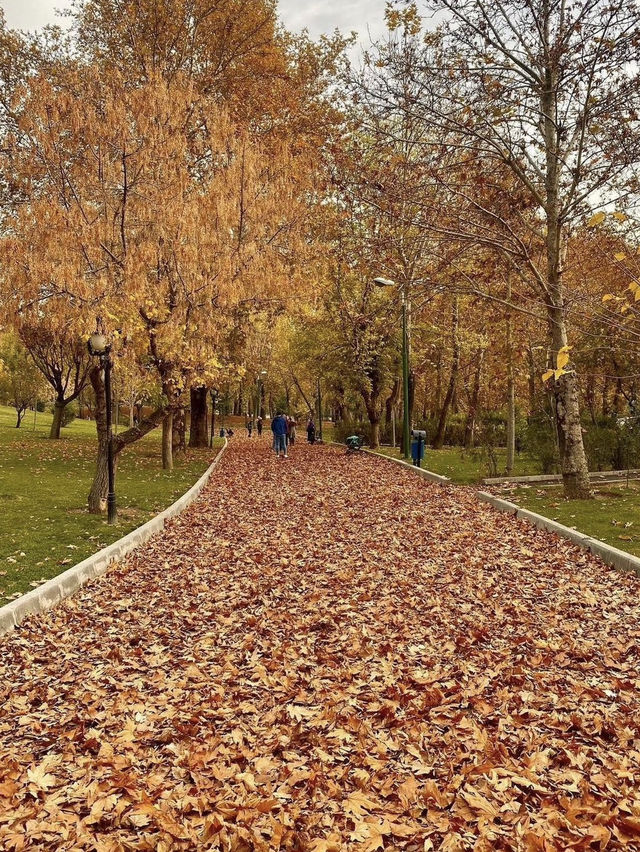 🌿 Park-e Mellat Tehran – A Calm Urban Escape 🍁✨ 🌿 Park-e Mellat Tehran – A Calm Urban Escape 🍁✨
