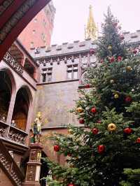 Discover Basel’s Astonishing Town Hall 🇨🇭
